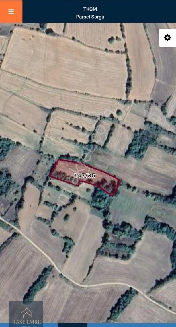 Edirne Lalapaşa Hamzabeyli Köyünde Bağ Tapulu Satılık 5 Dönüm Fırsat Yatırımlık Köye Yakın Tarla