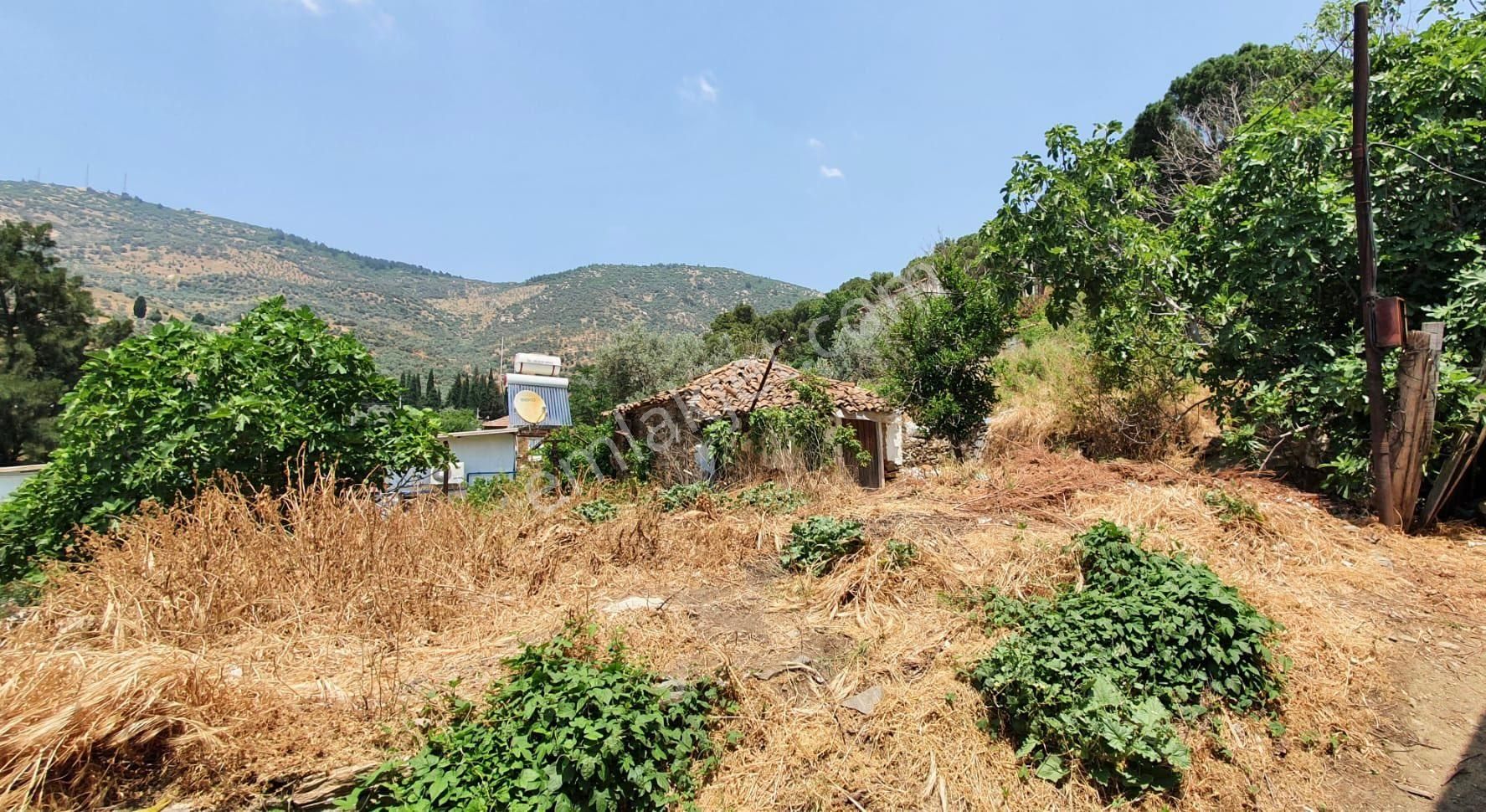 Bayındır Merkez 370 M2