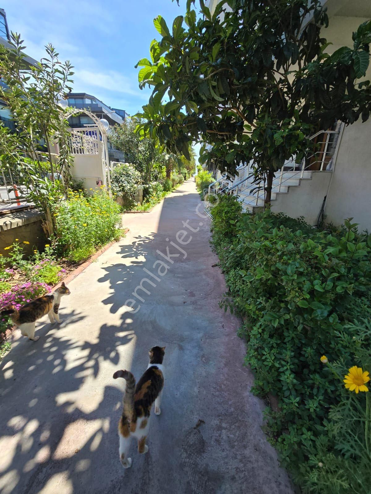 Polat Deniz Sitesinde Yatırımlık Kaçırılmayacak Fırsat Daire !!! - Görsel 17