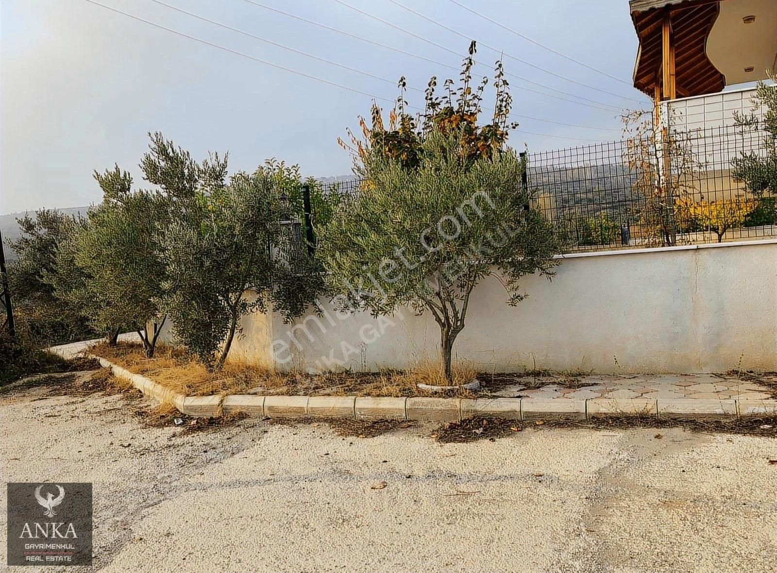 Tekirdağ ! Şarkköy ! Mürefte' De Müstakil Satılık 8+1 Villa - Görsel 18