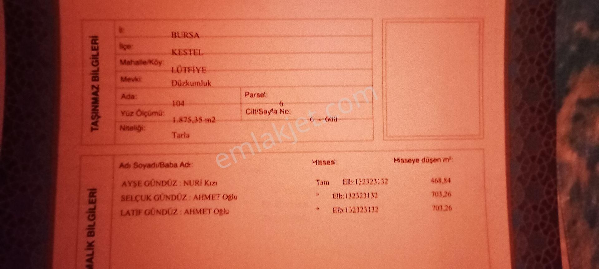 Kestel Lütfiye Köyü Satılık Bahçe