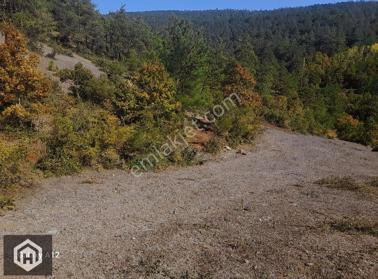 Hasdemir'den Çınarcık'ta Satılık 6030mt2 Tek Tapu Tarla Fırsat!!