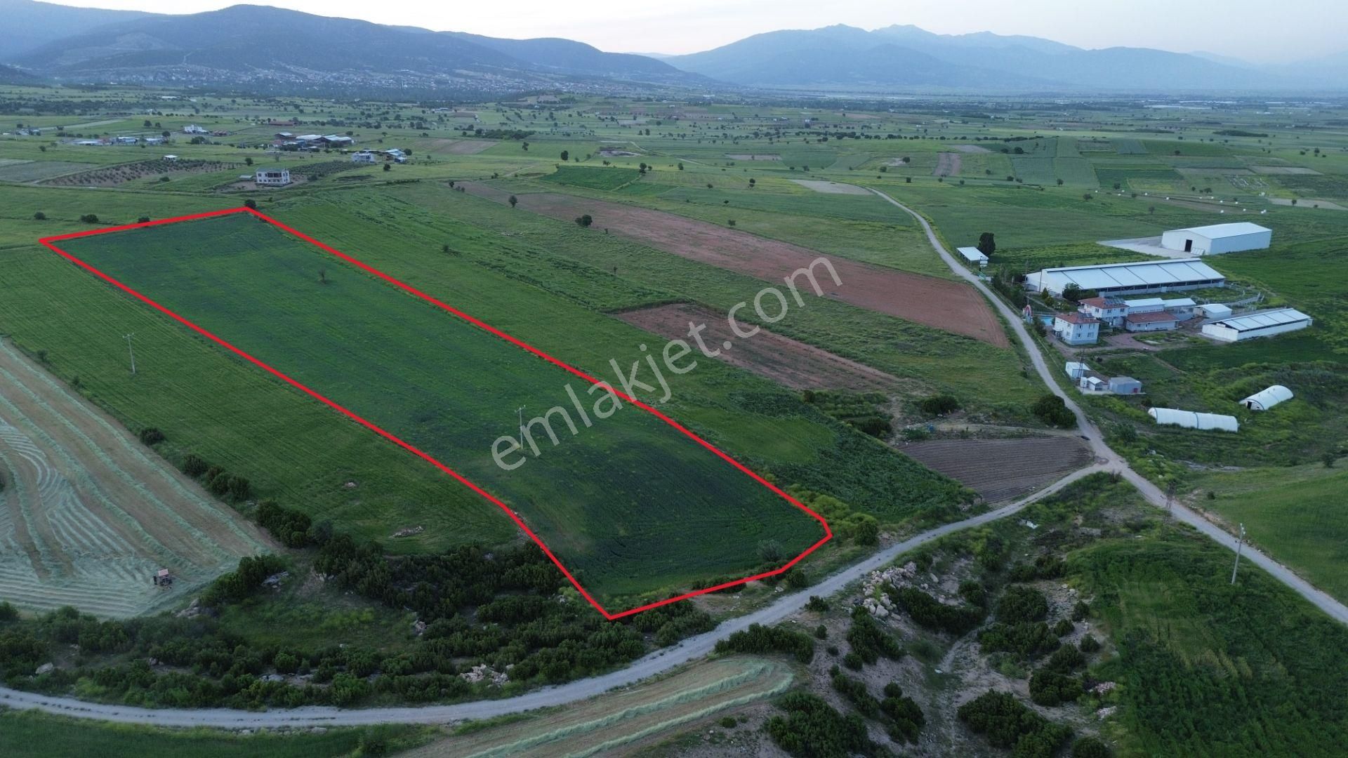 Korkuteli Yeltende 24 Dönüm Ana Yola Yakın Sorunsuz Her Şeyi Mevcutt - Görsel 15
