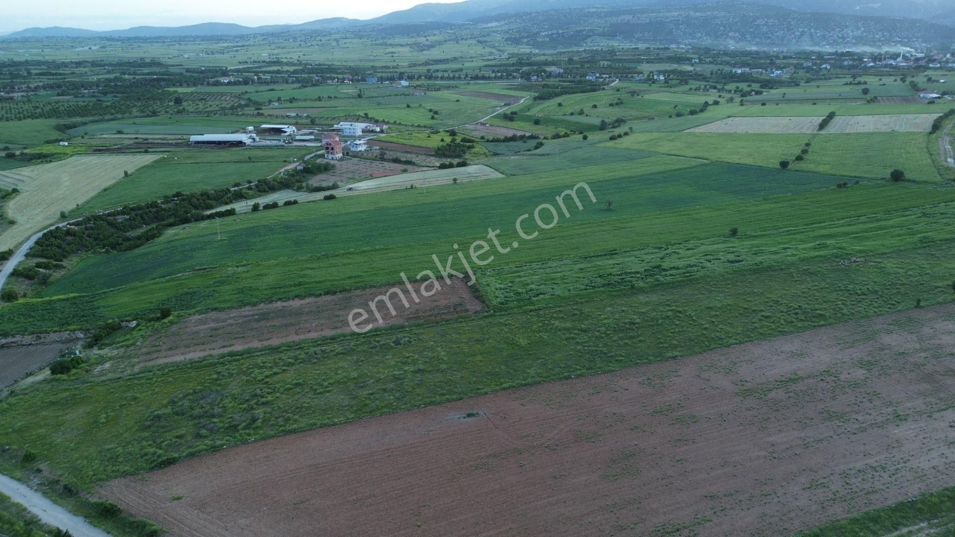 Korkuteli Yeltende 24 Dönüm Ana Yola Yakın Sorunsuz Her Şeyi Mevcutt - Görsel 10