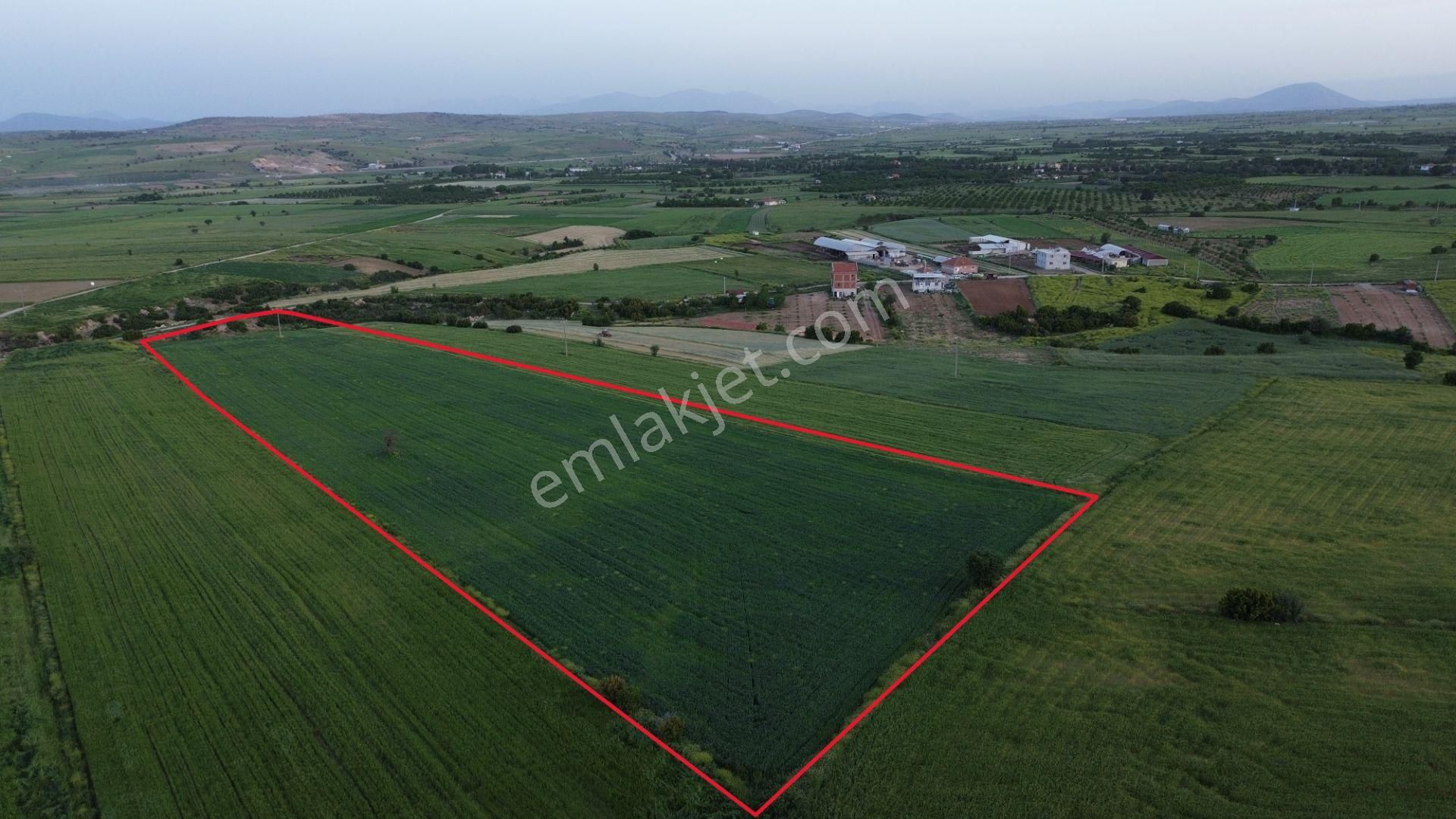 Korkuteli Yeltende 24 Dönüm Ana Yola Yakın Sorunsuz Her Şeyi Mevcutt - Görsel 2