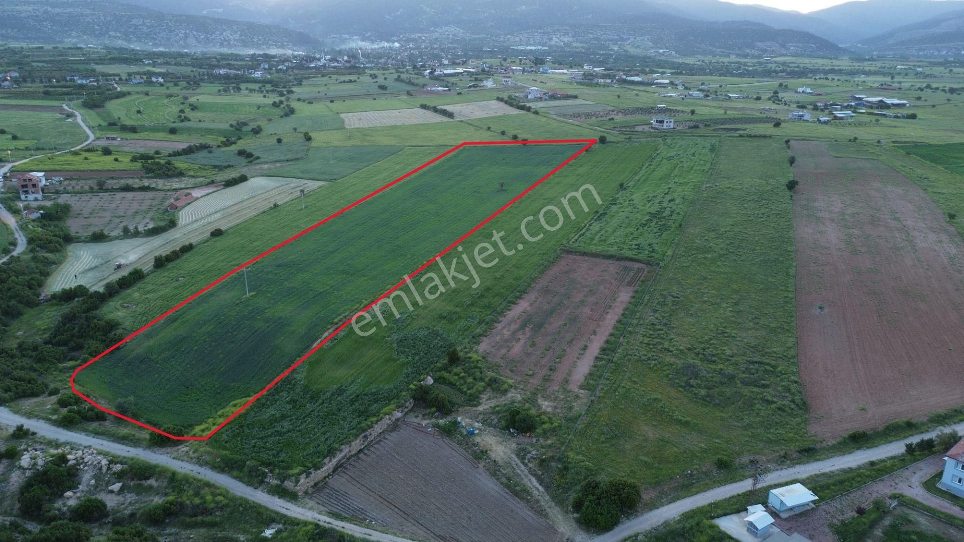 Korkuteli Yeltende 24 Dönüm Ana Yola Yakın Sorunsuz Her Şeyi Mevcutt - Görsel 12