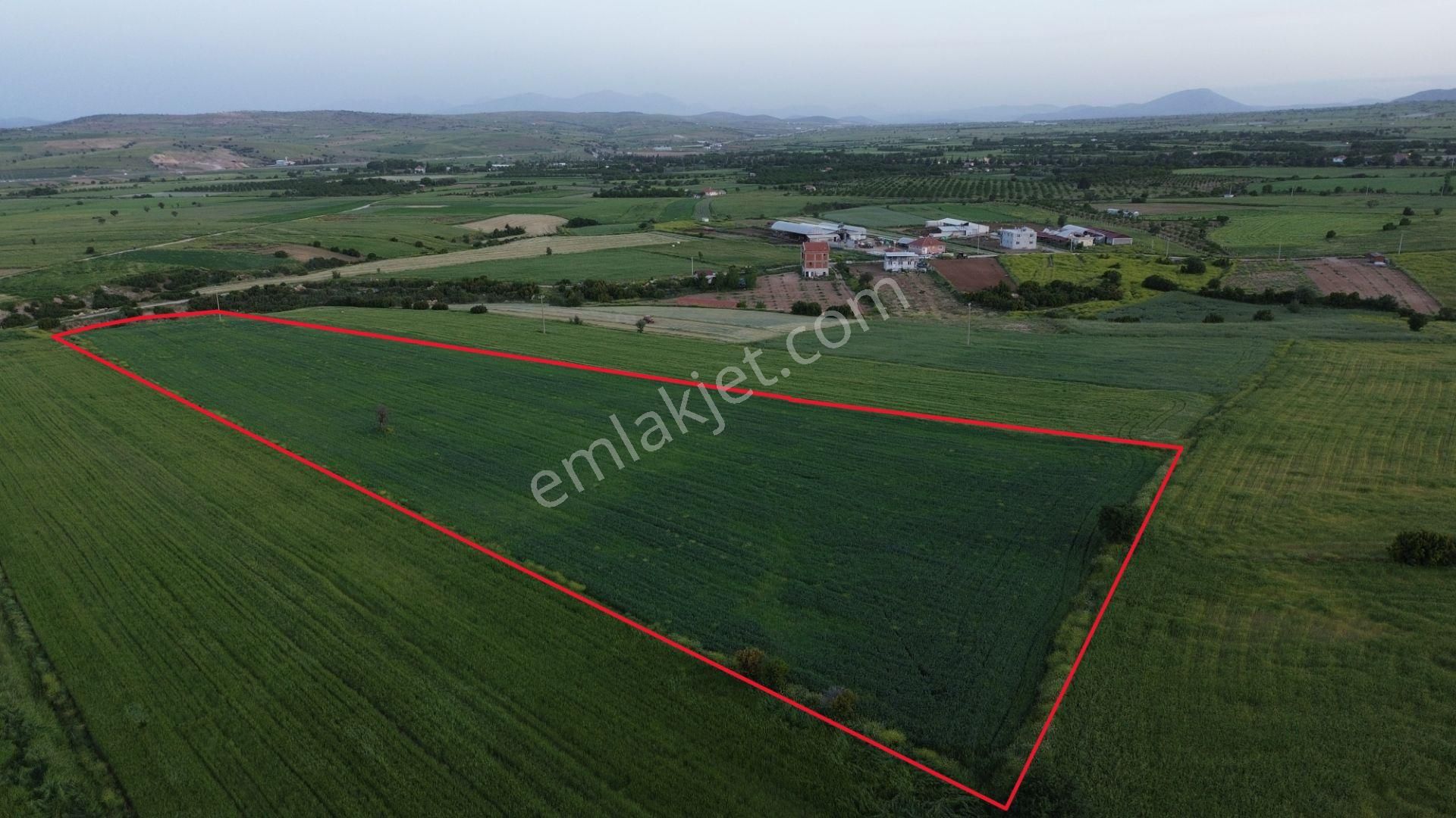 Korkuteli Yeltende 24 Dönüm Ana Yola Yakın Sorunsuz Her Şeyi Mevcutt - Görsel 6