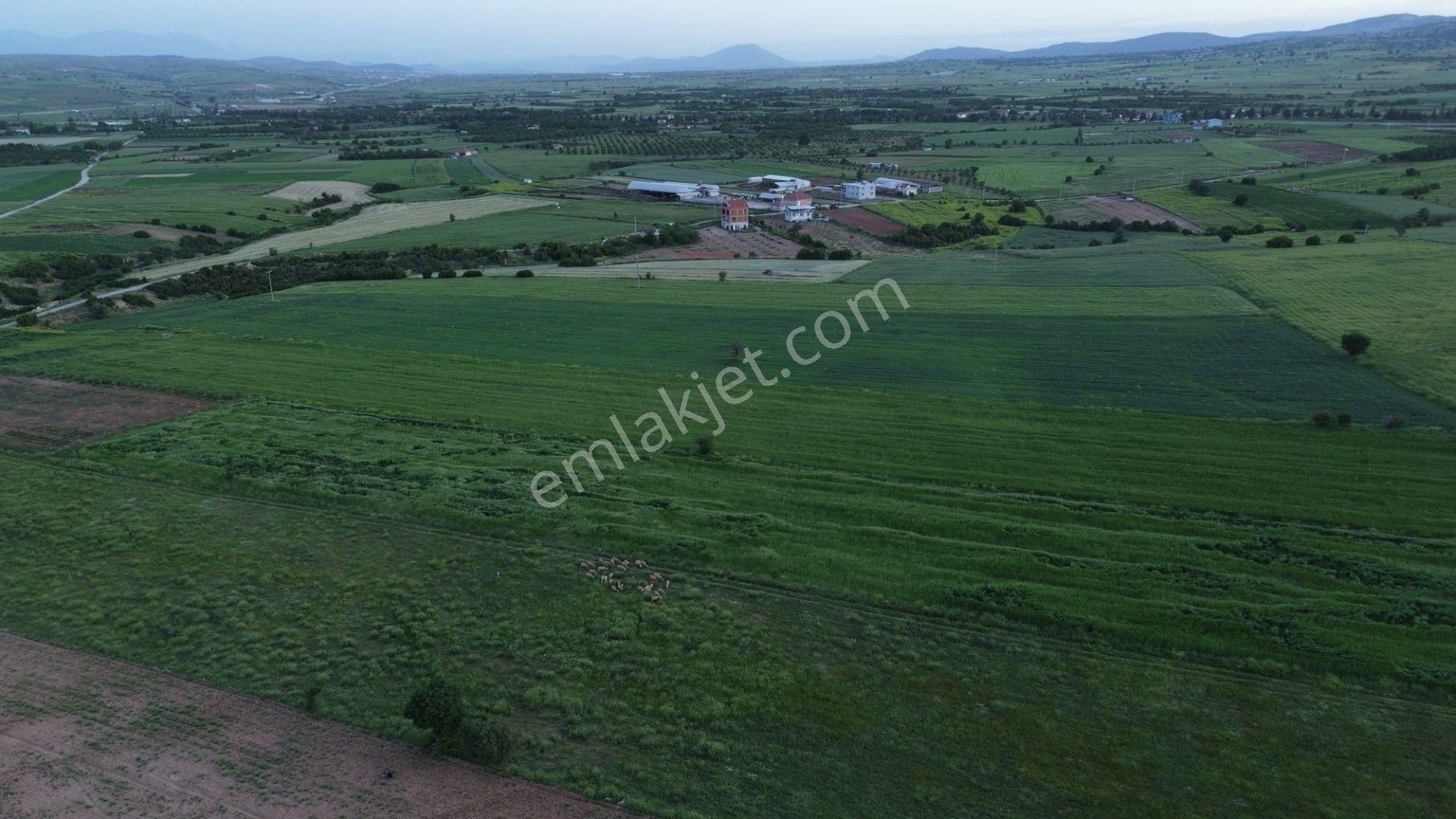Korkuteli Yeltende 24 Dönüm Ana Yola Yakın Sorunsuz Her Şeyi Mevcutt - Görsel 8