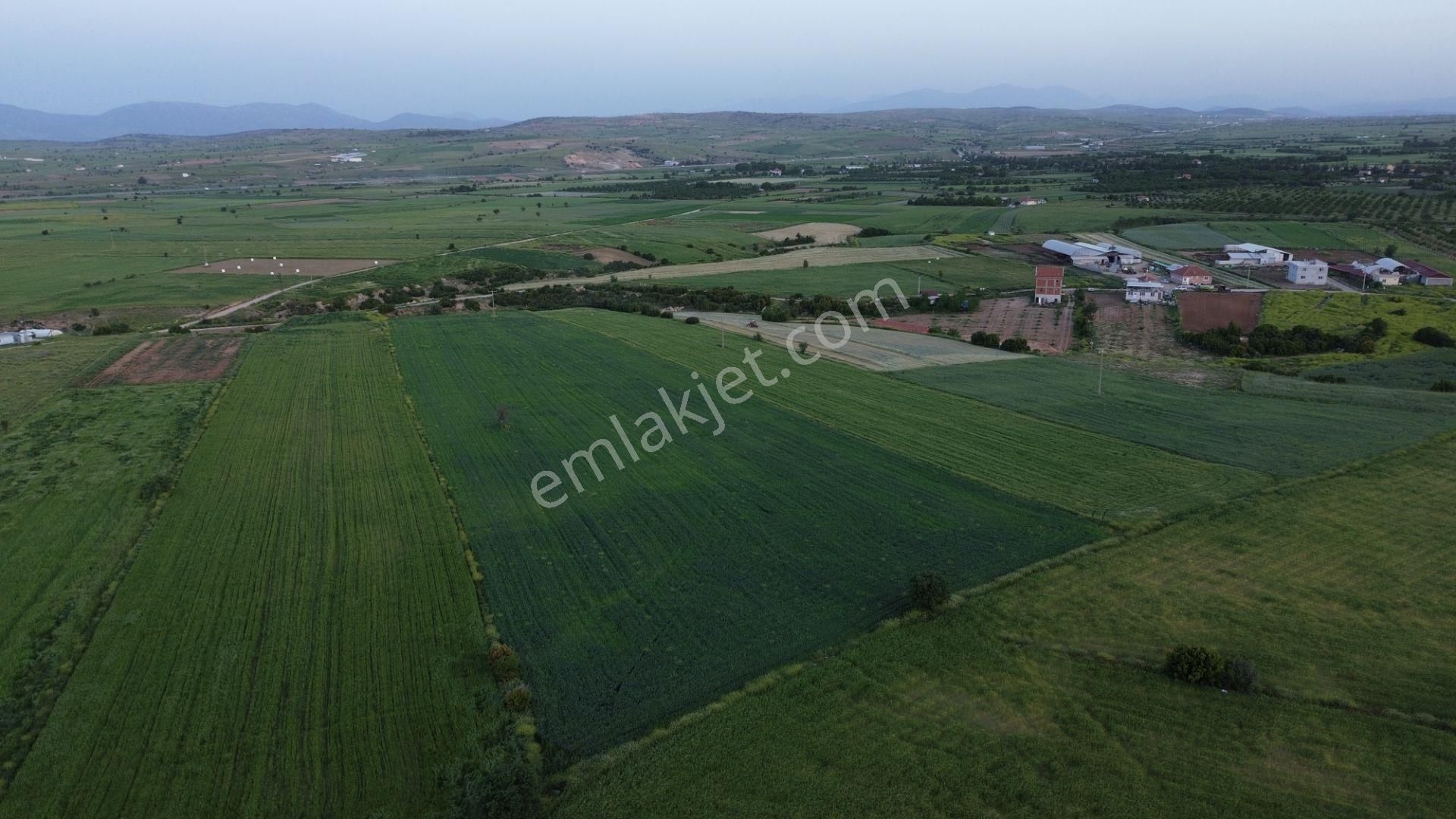 Korkuteli Yeltende 24 Dönüm Ana Yola Yakın Sorunsuz Her Şeyi Mevcutt - Görsel 4