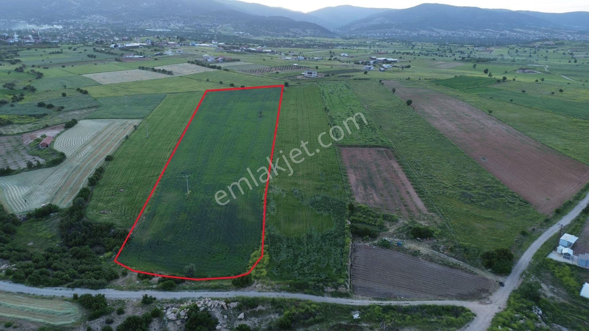 Korkuteli Yeltende 24 Dönüm Ana Yola Yakın Sorunsuz Her Şeyi Mevcutt - Görsel 13