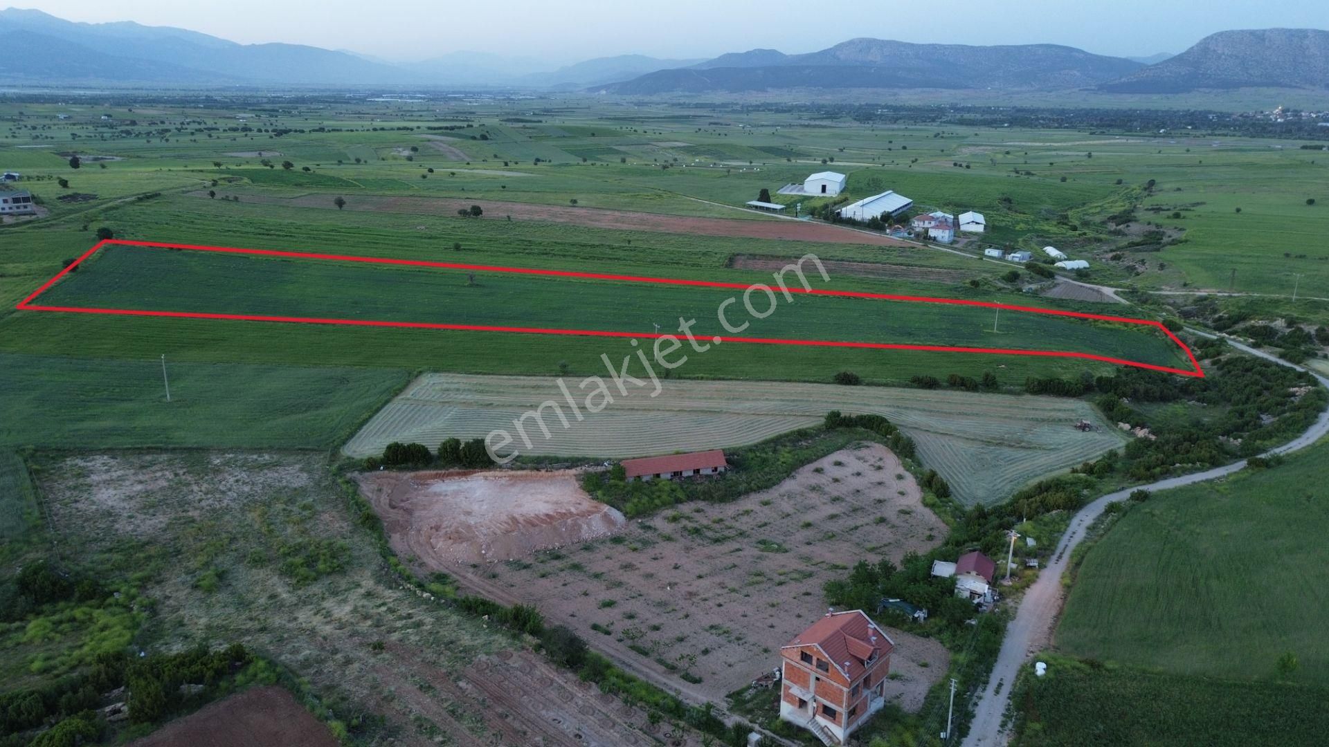 Korkuteli Yeltende 24 Dönüm Ana Yola Yakın Sorunsuz Her Şeyi Mevcutt - Görsel 17