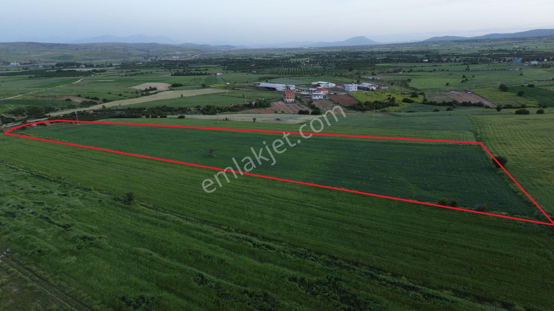 Korkuteli Yeltende 24 Dönüm Ana Yola Yakın Sorunsuz Her Şeyi Mevcutt - Görsel 7