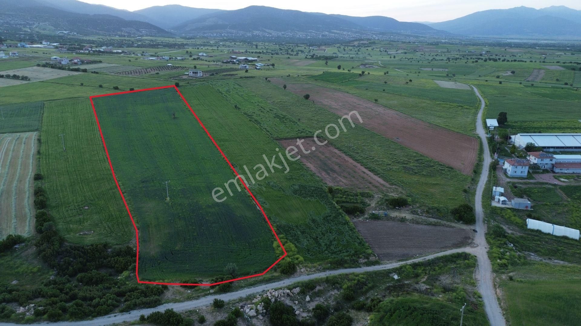 Korkuteli Yeltende 24 Dönüm Ana Yola Yakın Sorunsuz Her Şeyi Mevcutt - Görsel 14