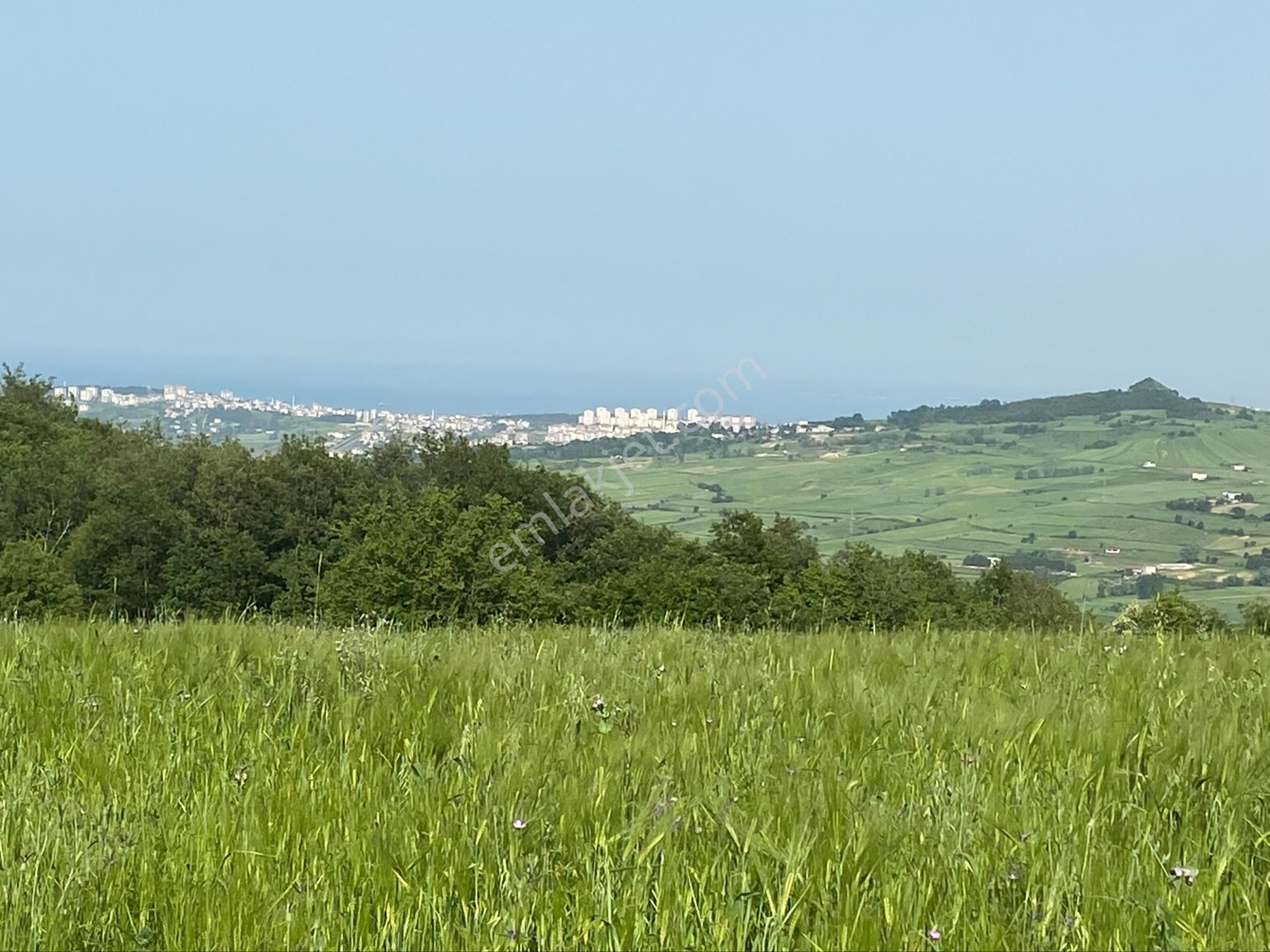 27.595 Metrekarede 7358 Metre Karesi Satılık - Görsel 3