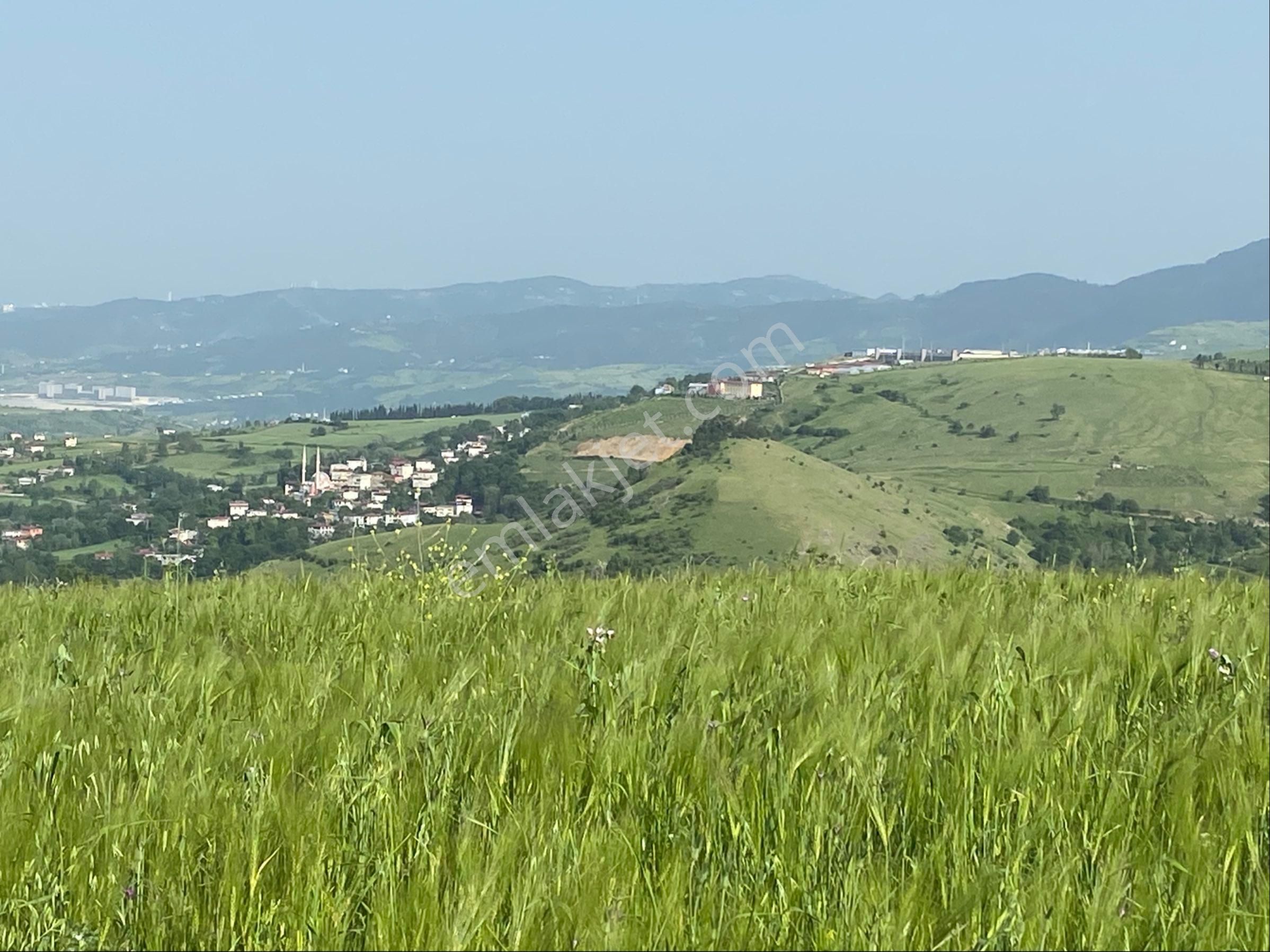 27.595 Metrekarede 7358 Metre Karesi Satılık - Görsel 2