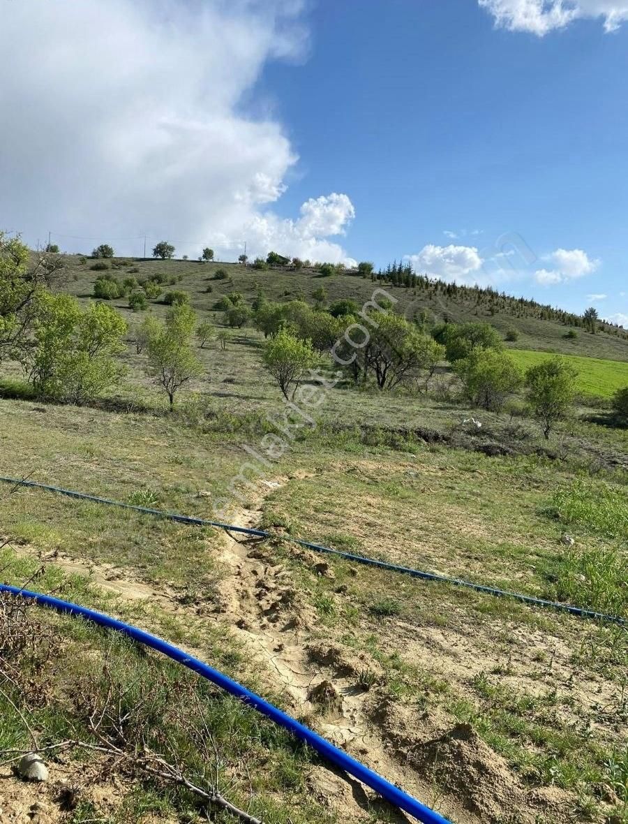Sarılı Köyünde Satılık Köyiçi Tarla