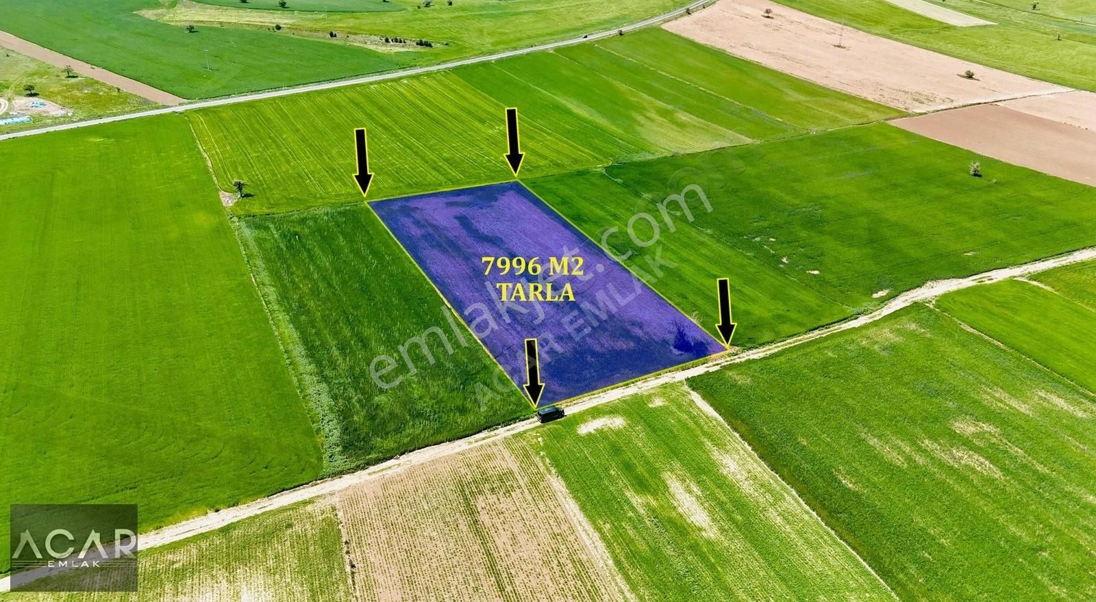 Merkeze Yürüme Mesafeli Bölgenin En Verimli Alanında Tek Tapu **