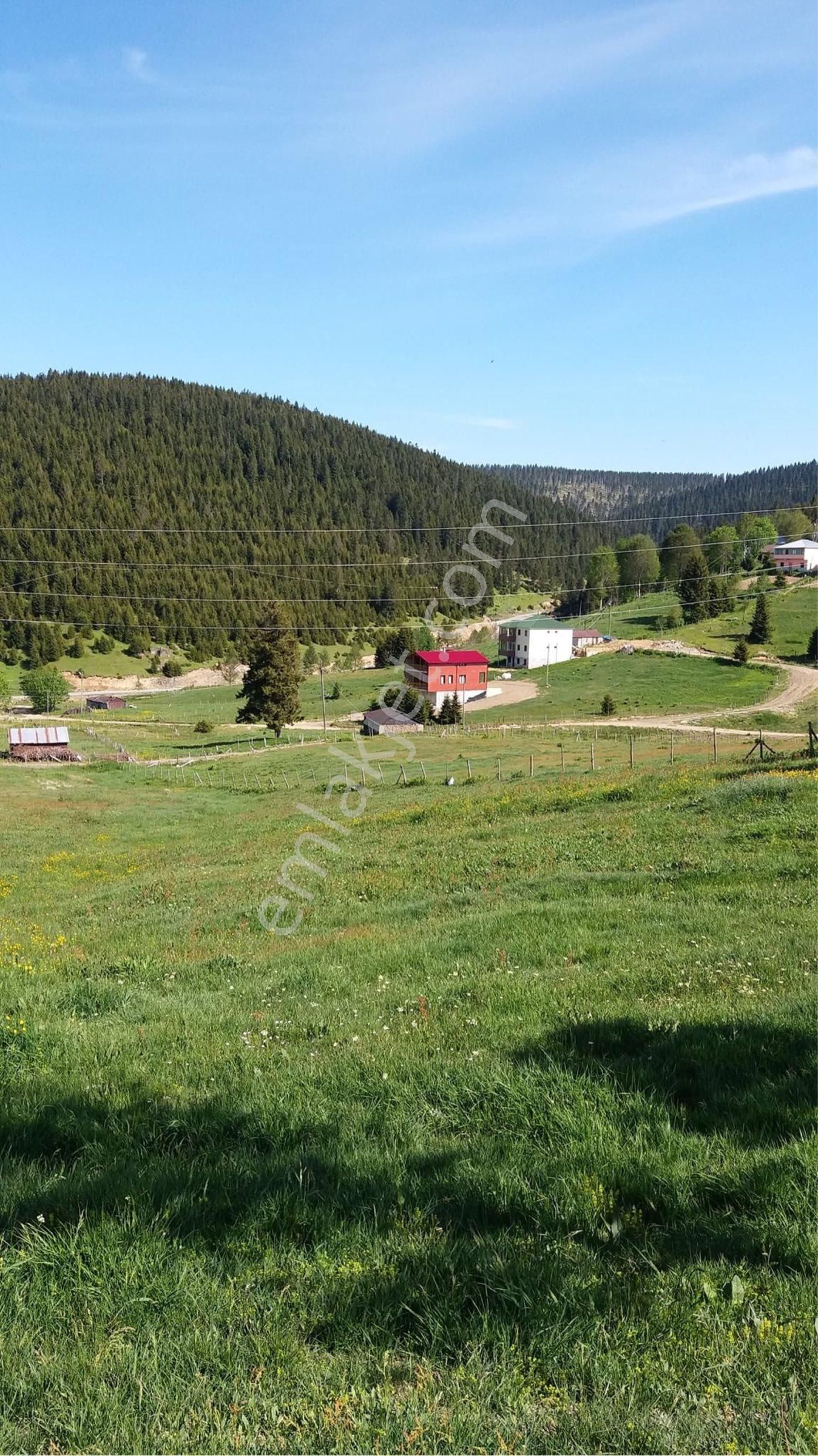Kayabaşı Yaylasının En Güzel Arsası (huzura Yatırım Yapmak İsteyenler İçin)