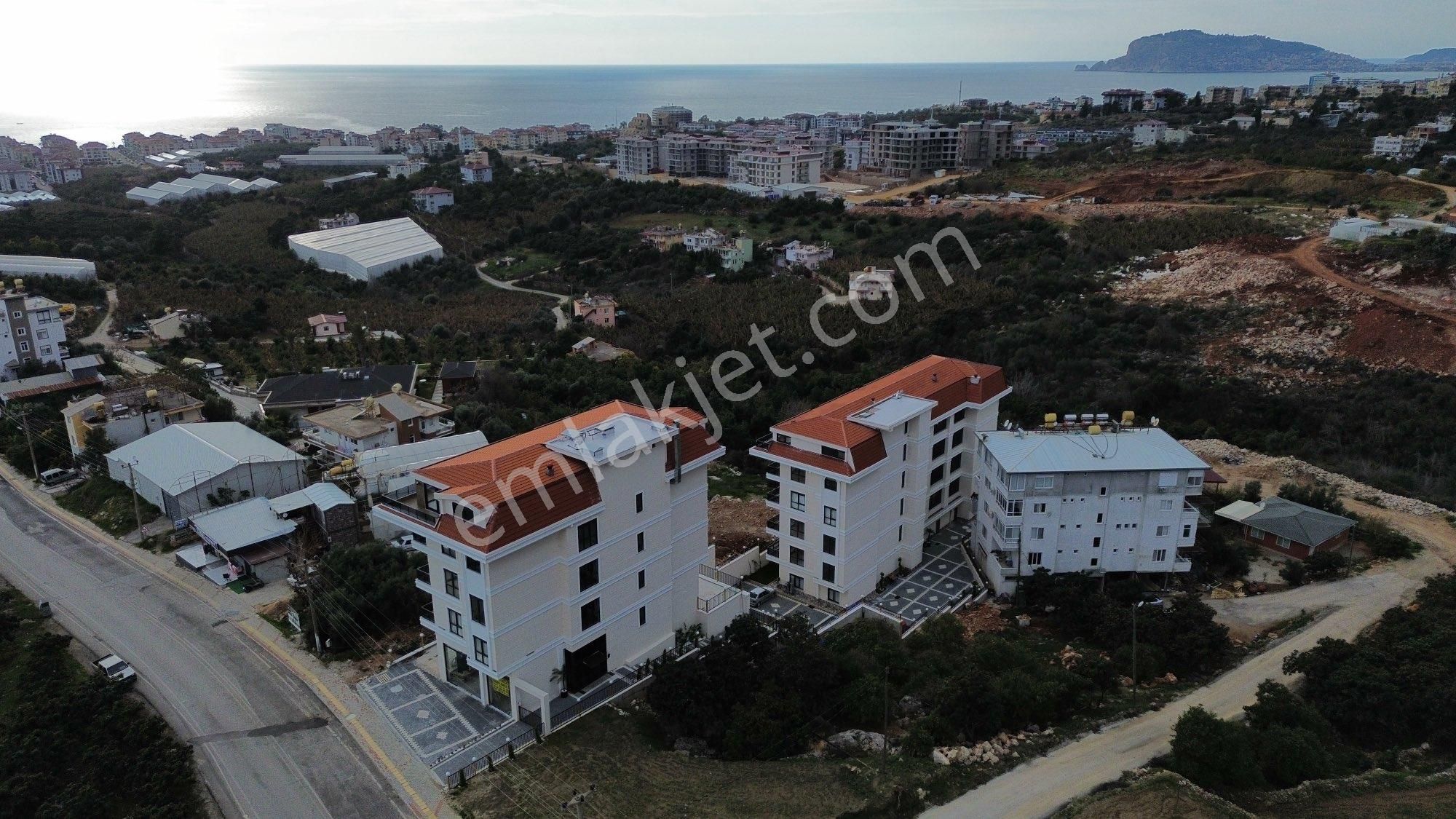 Kiralık 1+1 Daire - Görsel 2