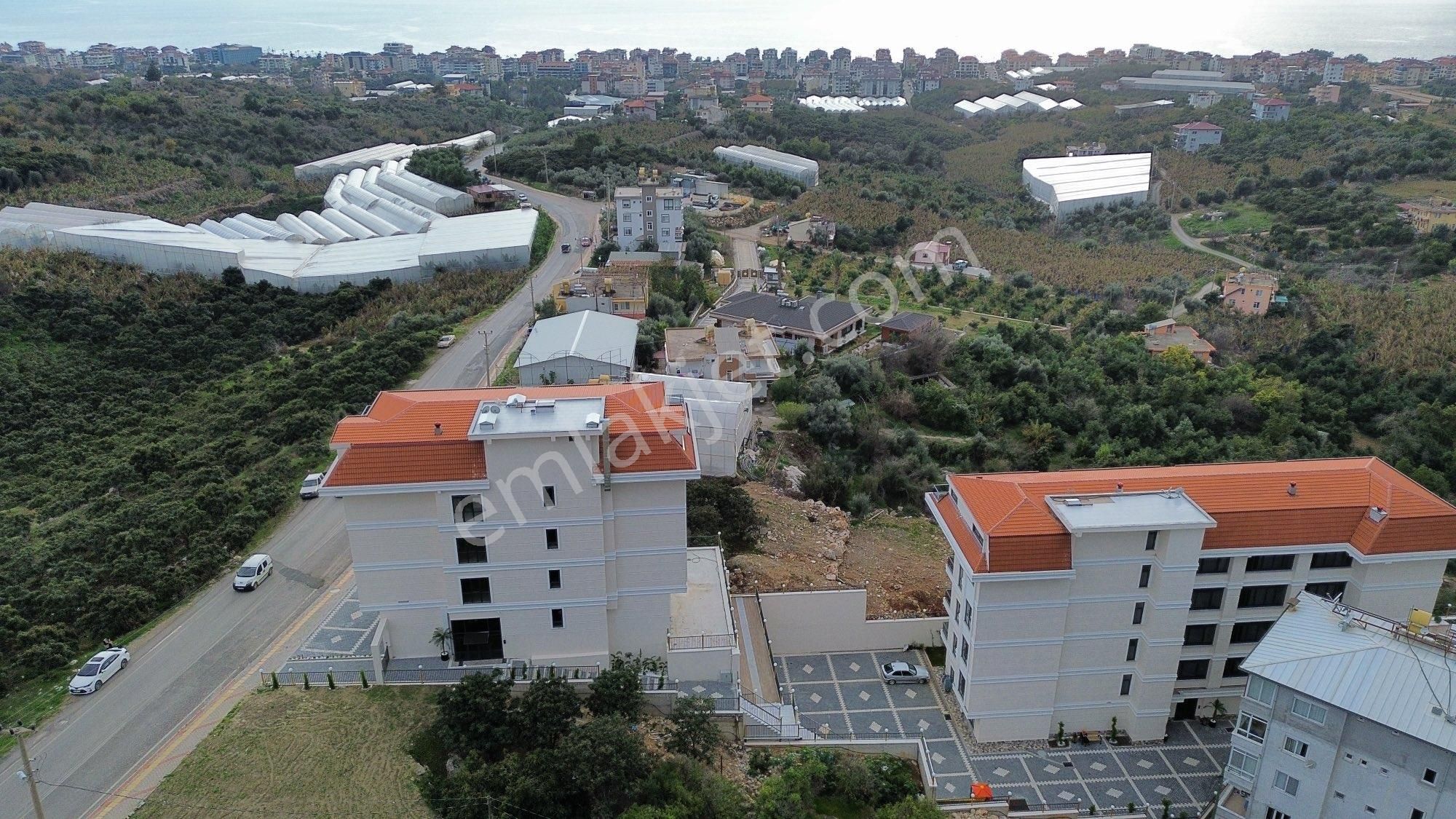 Kiralık 1+1 Daire - Görsel 3