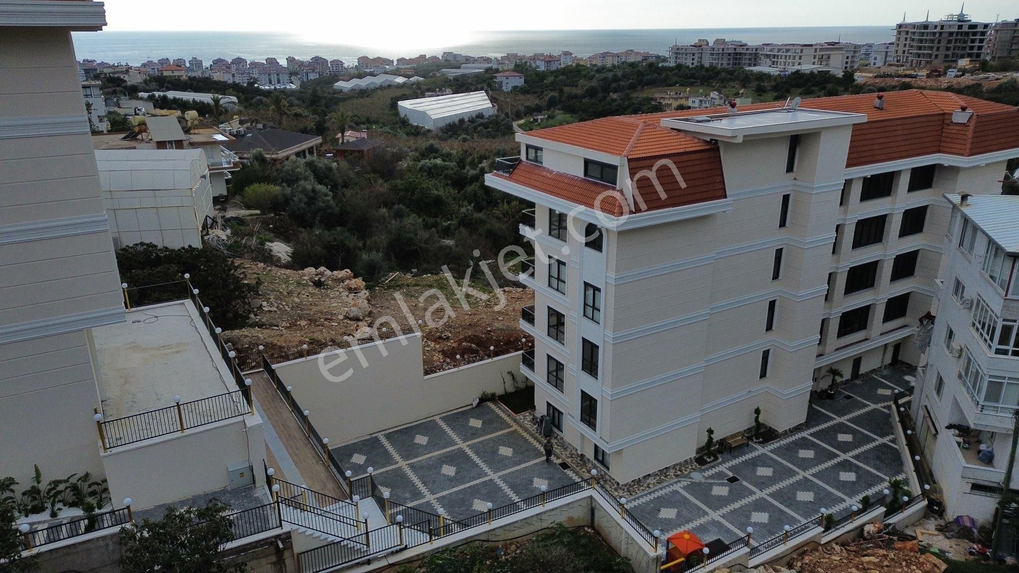 Kiralık 1+1 Daire - Görsel 10