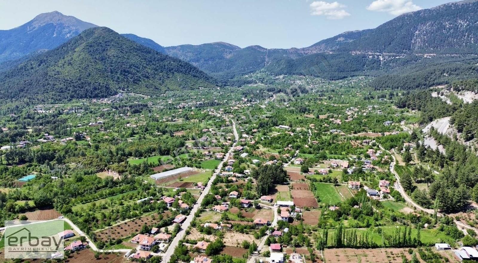 Nif' De Anayola Cephe Müstakil Tarla
