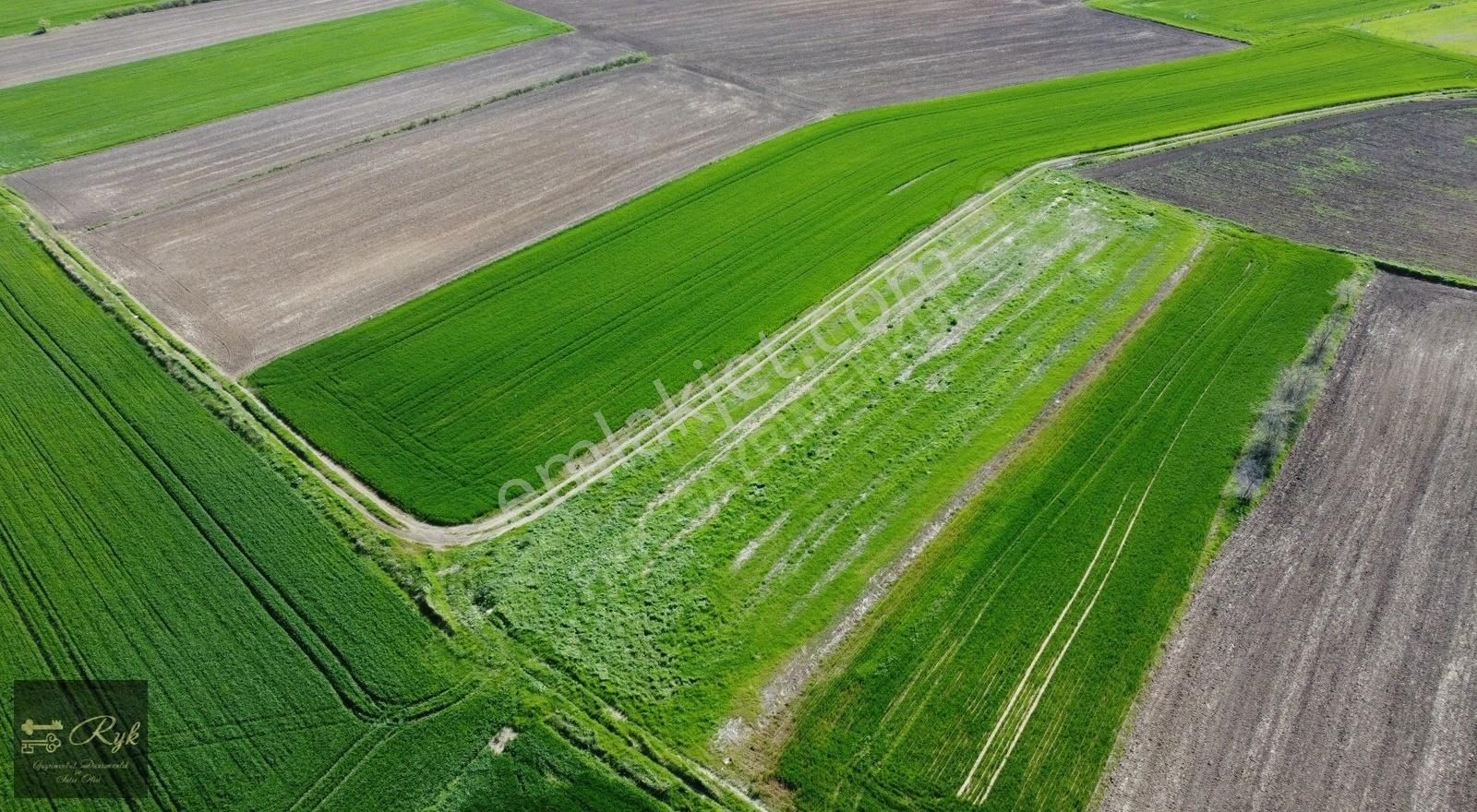 Umurcada Bağ Evleri Mevki Anayola Yakın 3 Dönüm Tek Tapu Arazi