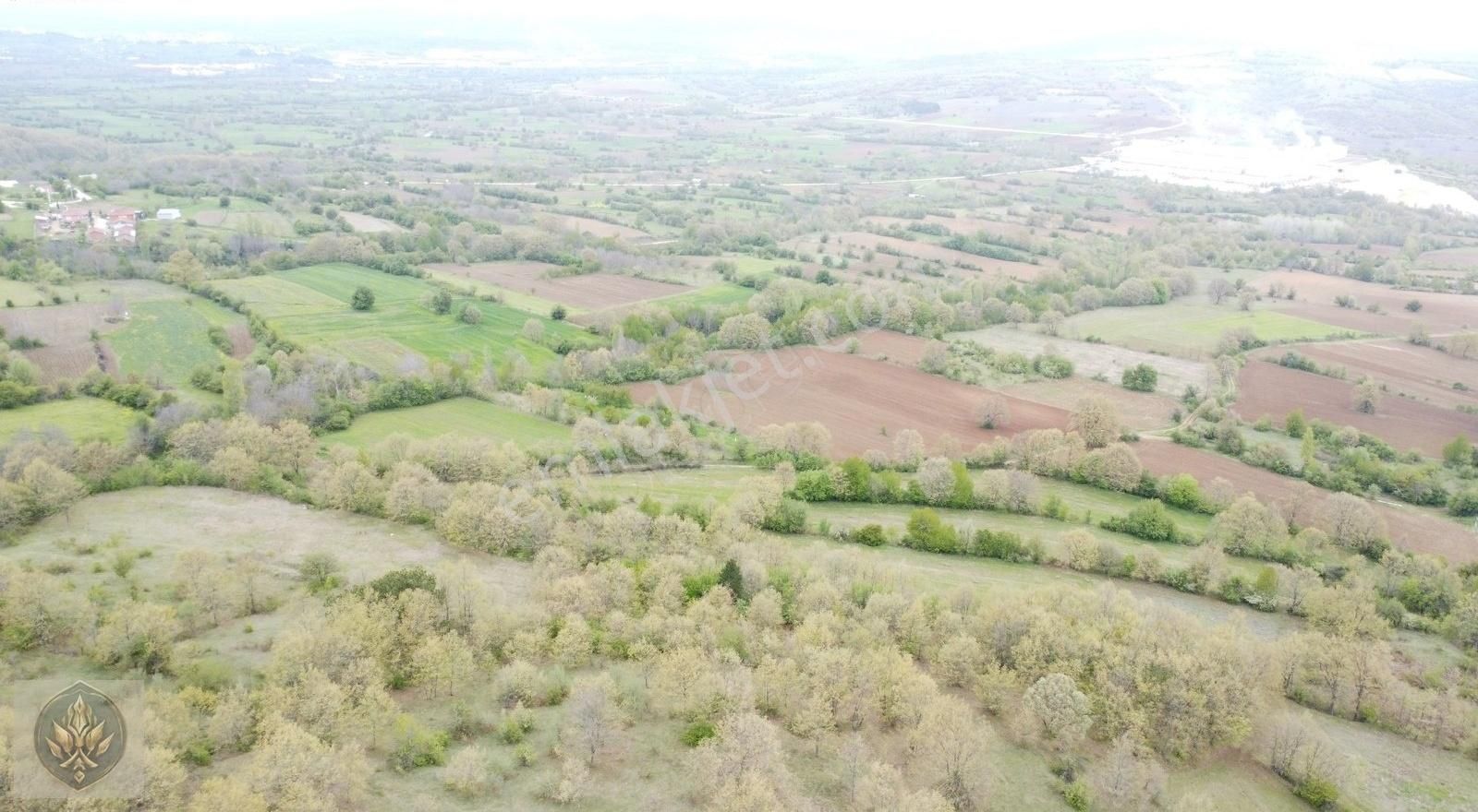 Pazaryeri Fıranlar 8.770 M2 Etrafı Tel Örgü Çevrilidir