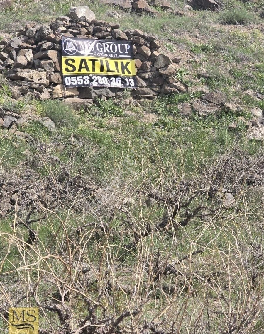 Kocasinan Molu Köyün De Satılık Tek Tapu Tarla - Görsel 9
