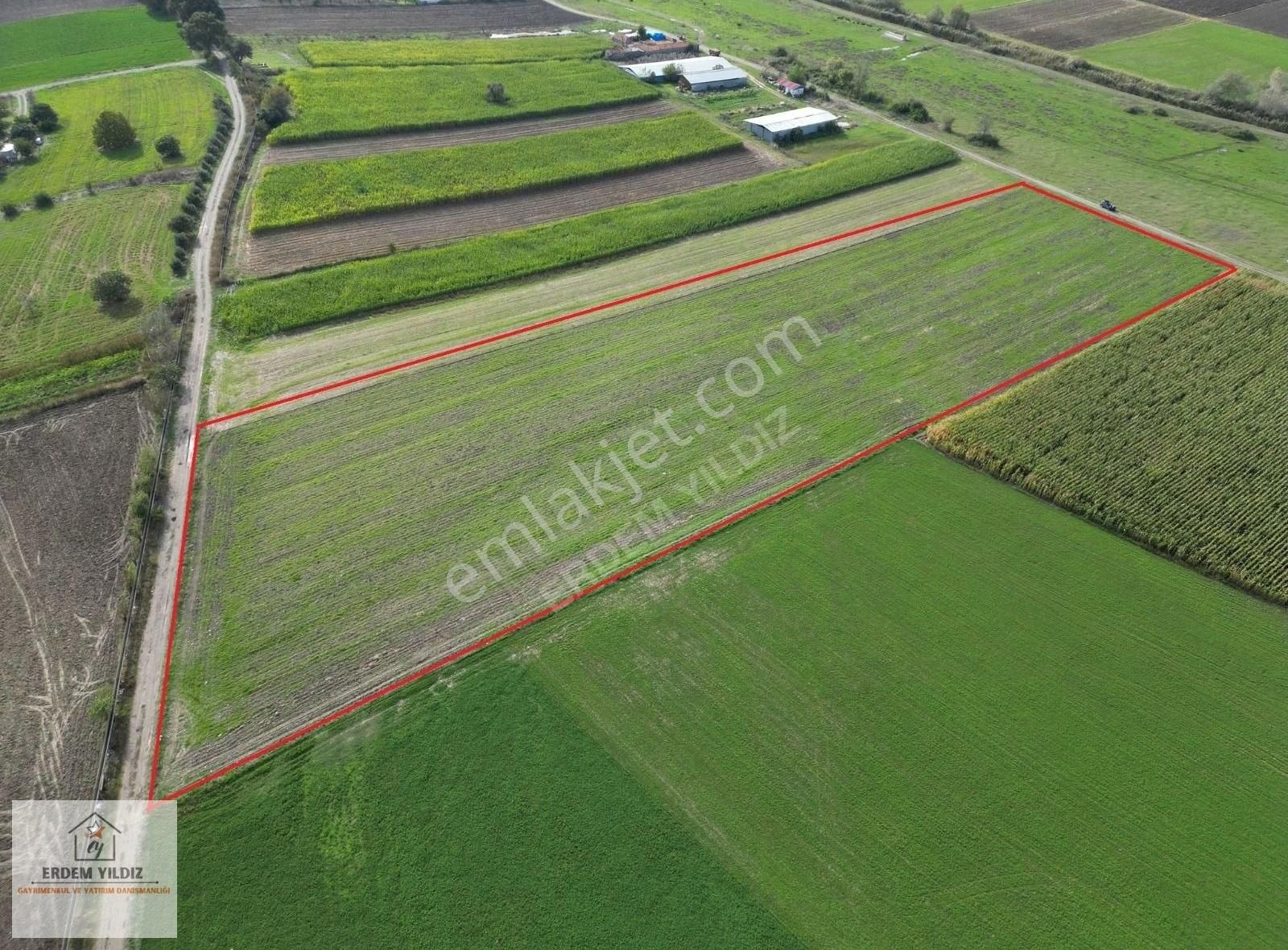 Erdem Yıldız'dan Mustafakemalpaşa Demireli'nde 15.909 M² Tarla