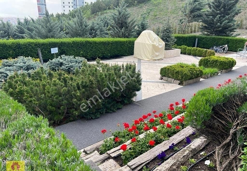 Çankaya Aloha Residence 244 M2 4+1 Elçilik Kiracılı Havuzlu Fitnessli Garajlı Kiralık Site Dairesi