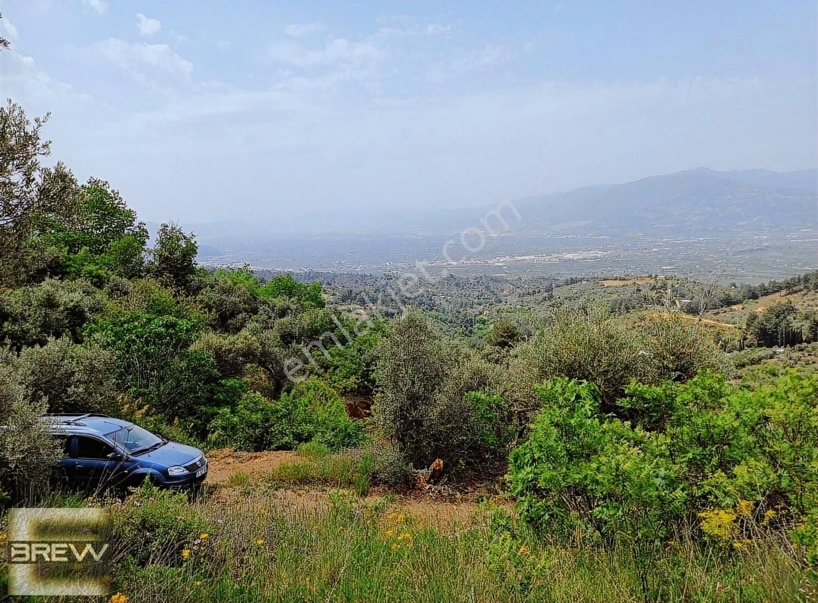 Kemalpaşa Ören Resmi Yol Ve Sondajlı Müthiş Manzaralı Zeytinlik