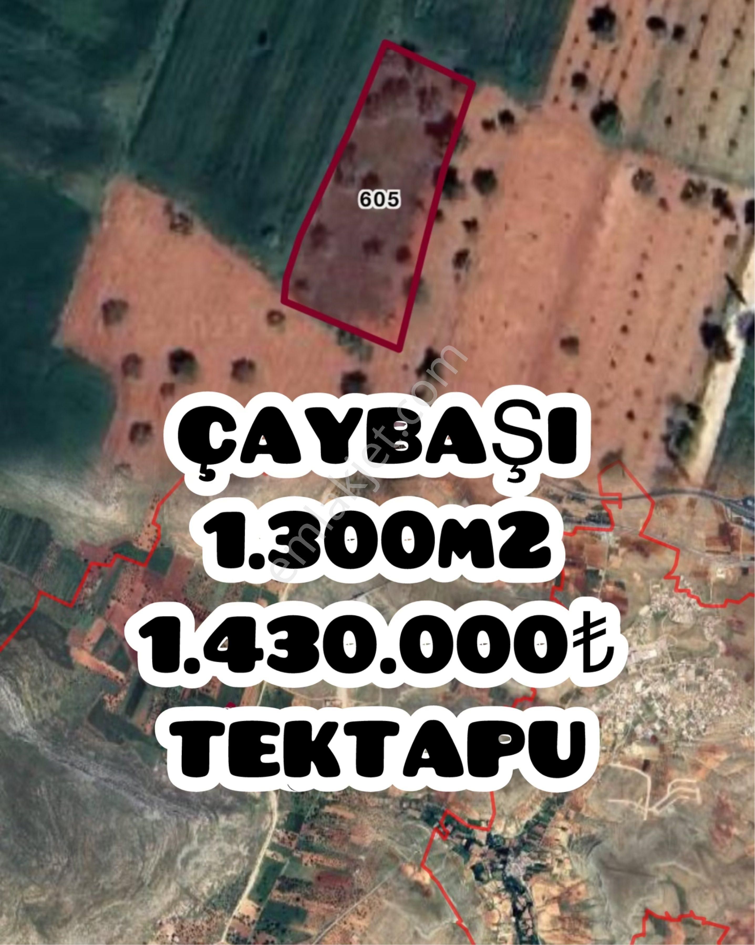 ✅tik Emlatan Oğuzeli Çaybaşı Tek Tapu Çaybaşı 1300m2 1.430.000 Tektapu