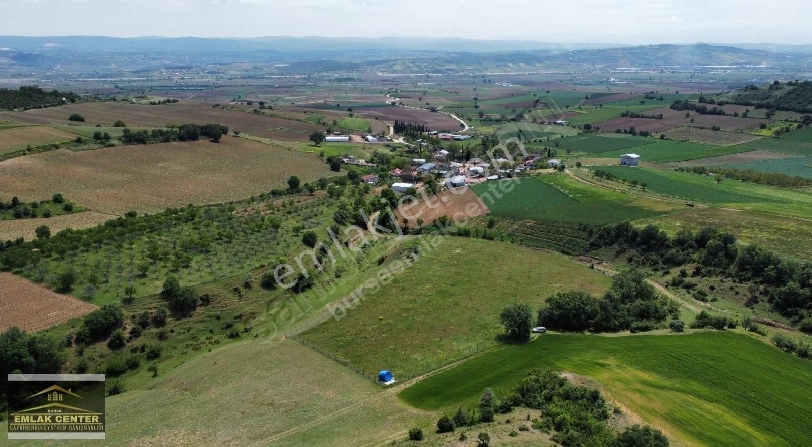 Yenişehir Karabahadırda Yatırımlık 11840 M2 Ceviz Bahçesi