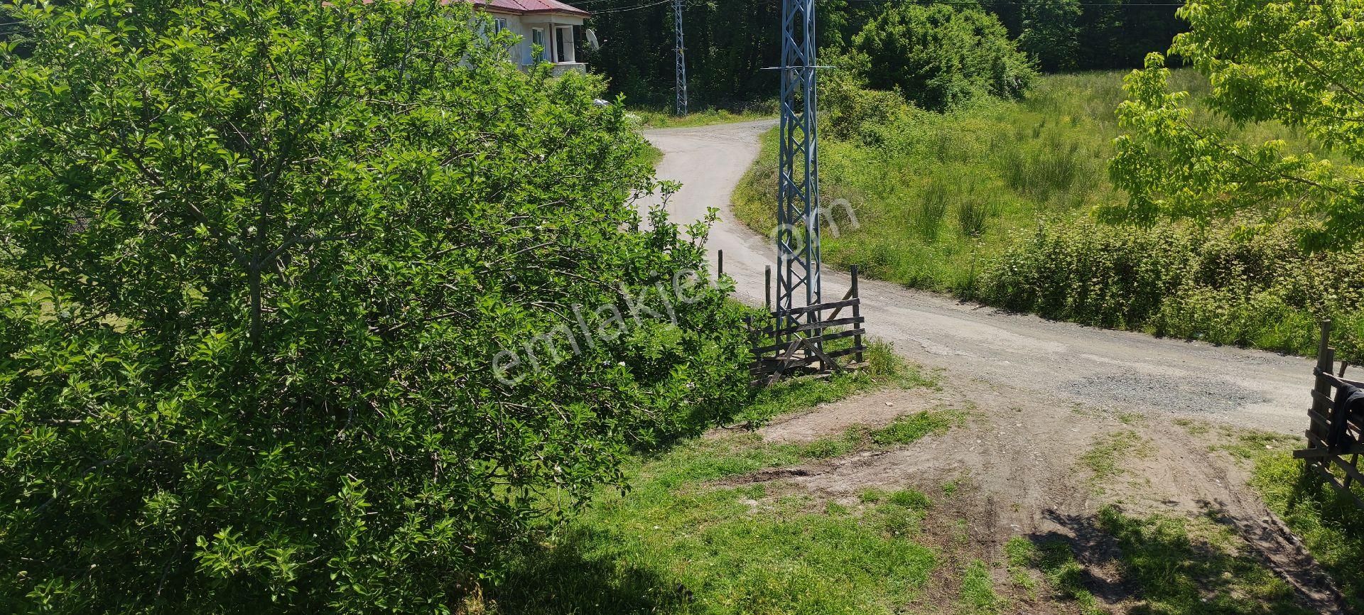 Samsun Çarşamba Sefalıda Evli Bahçe Satılıkdır - Görsel 15