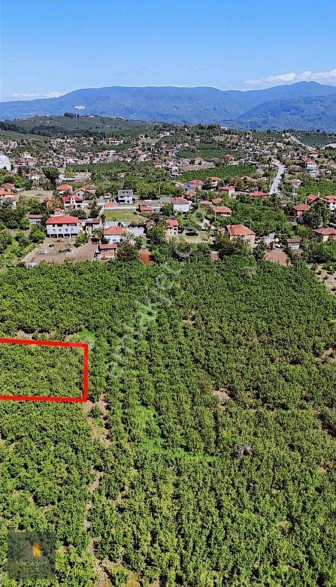 Gümüşoluk'ta Köy Merkezinde 20 Metre Yola Cepheli 700 M² Arsa