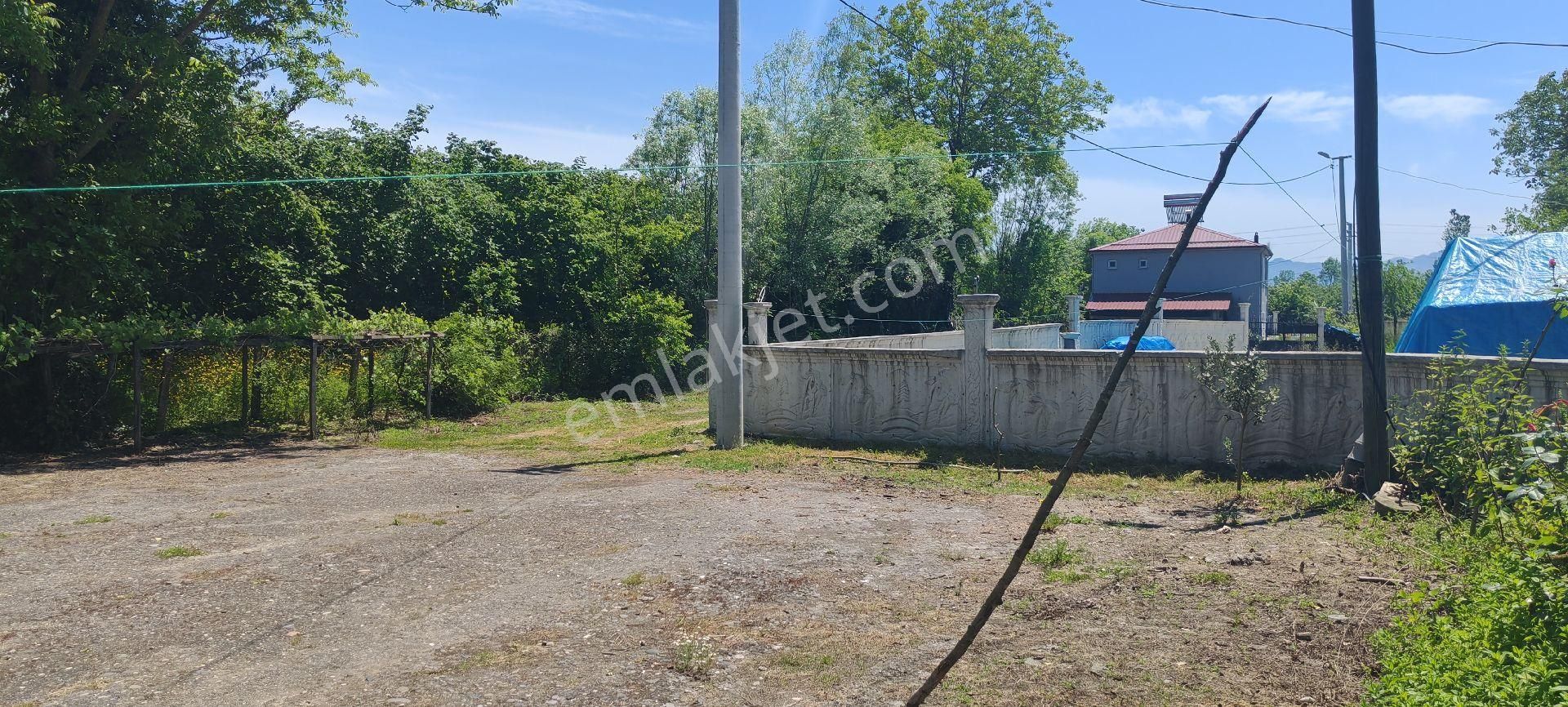 Samsun Terme Gundogdu Köyünde Satilik Evi Olan Cakiktak Fındık Bahcesı - Görsel 5