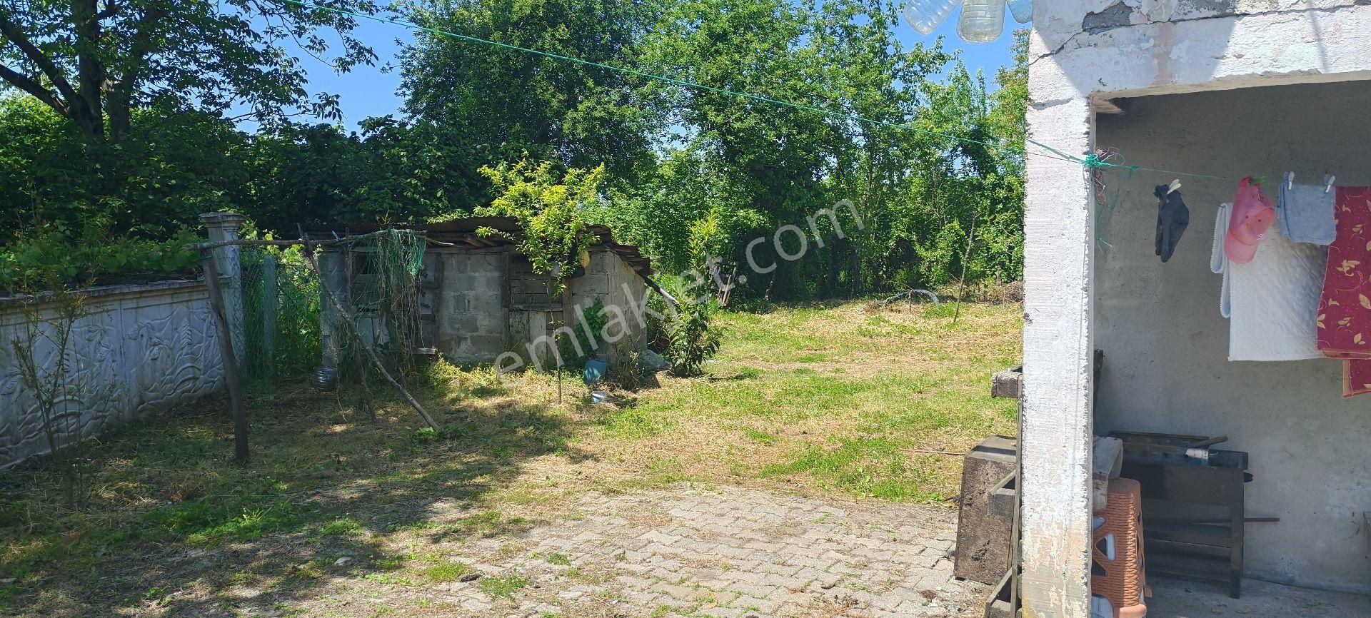 Samsun Terme Gundogdu Köyünde Satilik Evi Olan Cakiktak Fındık Bahcesı - Görsel 3