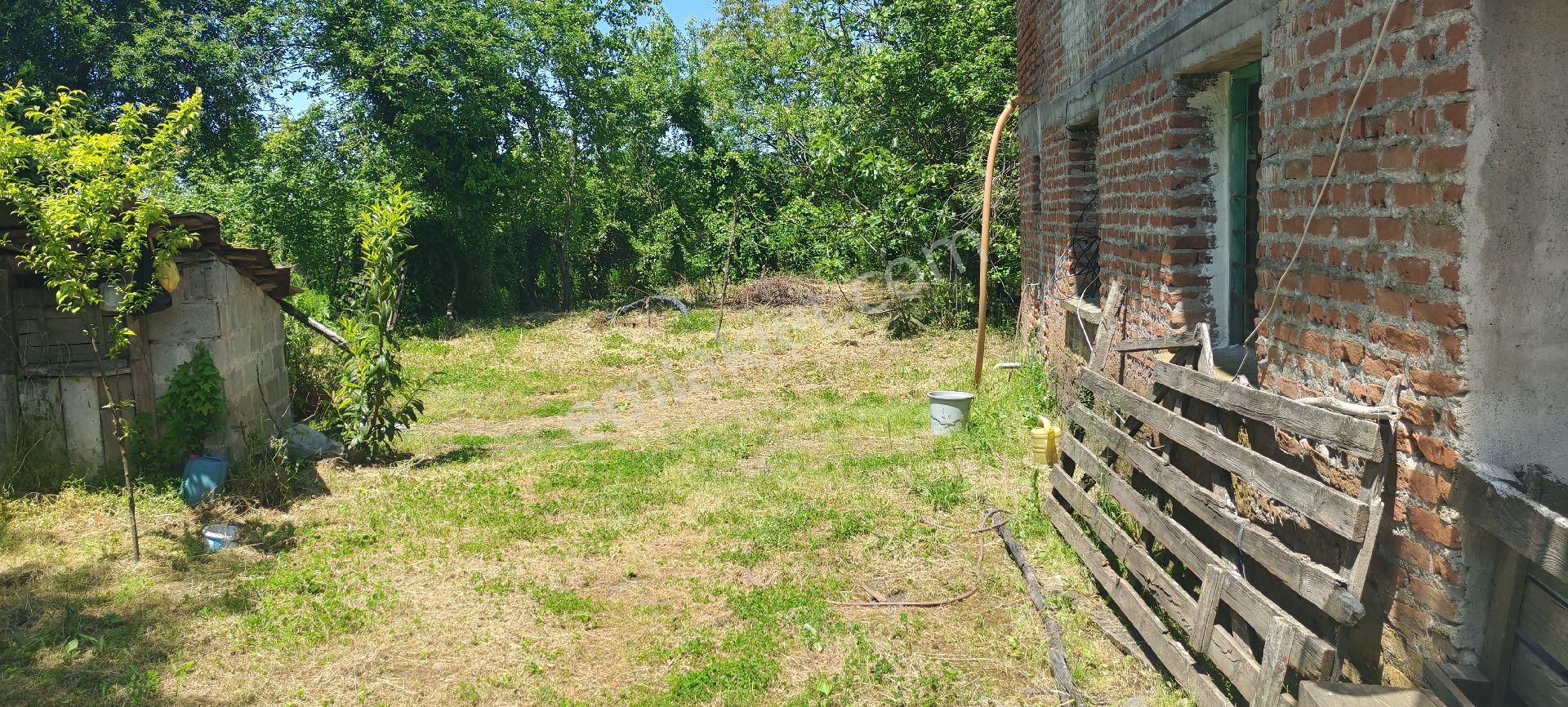 Samsun Terme Gundogdu Köyünde Satilik Evi Olan Cakiktak Fındık Bahcesı - Görsel 4