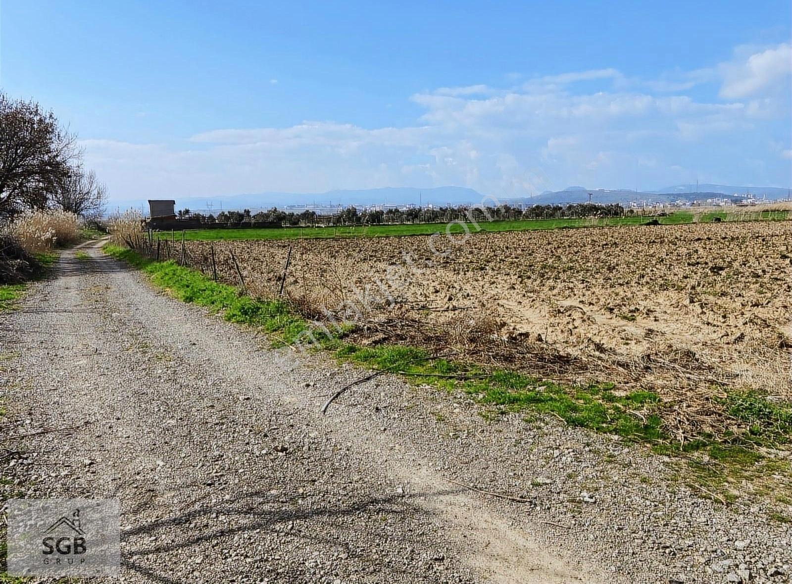 Ezine Seferşah Mahallesinde 4.050 M2 Satılık Tarla - Görsel 23