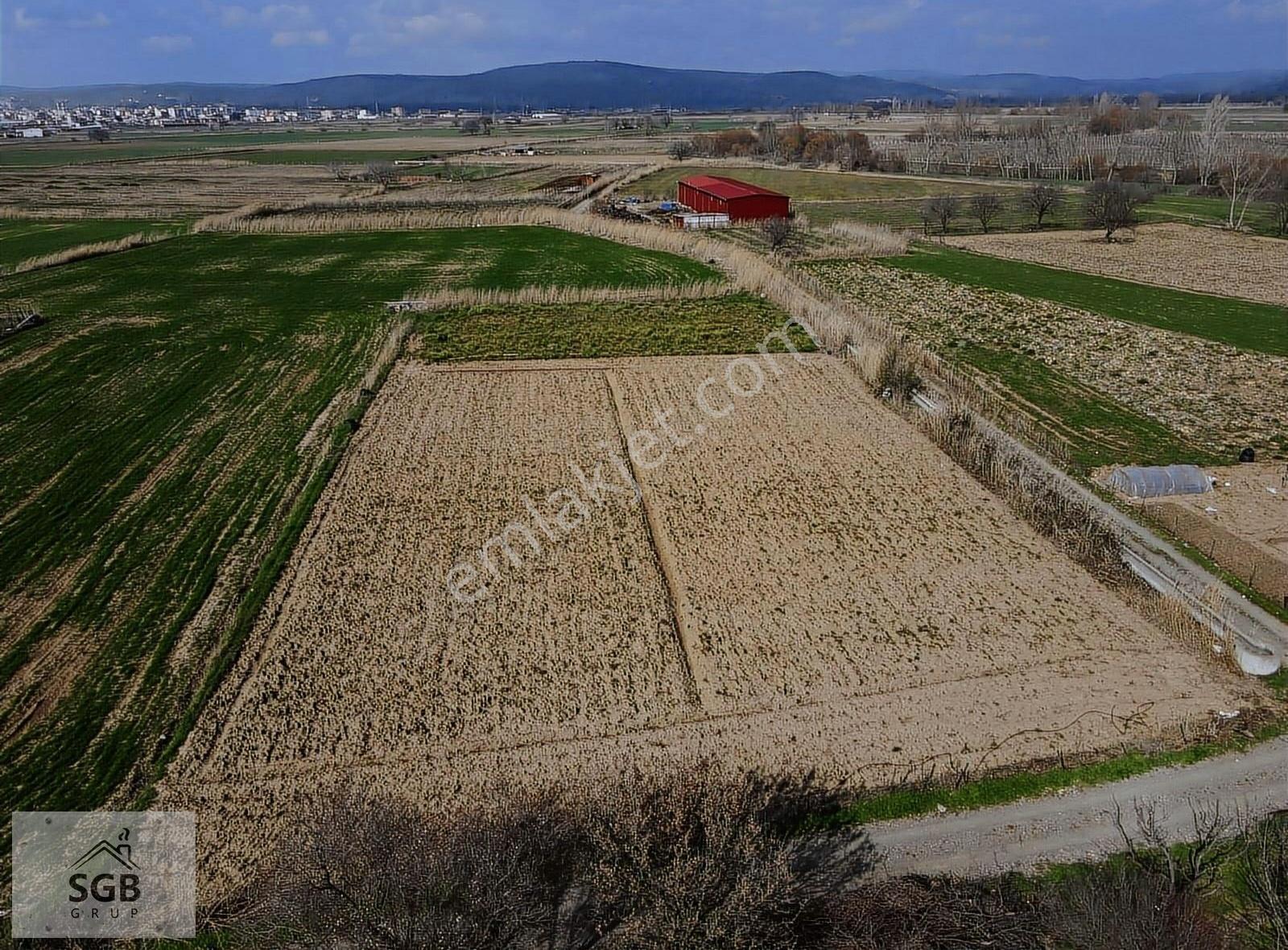 Ezine Seferşah Mahallesinde 4.050 M2 Satılık Tarla - Görsel 20