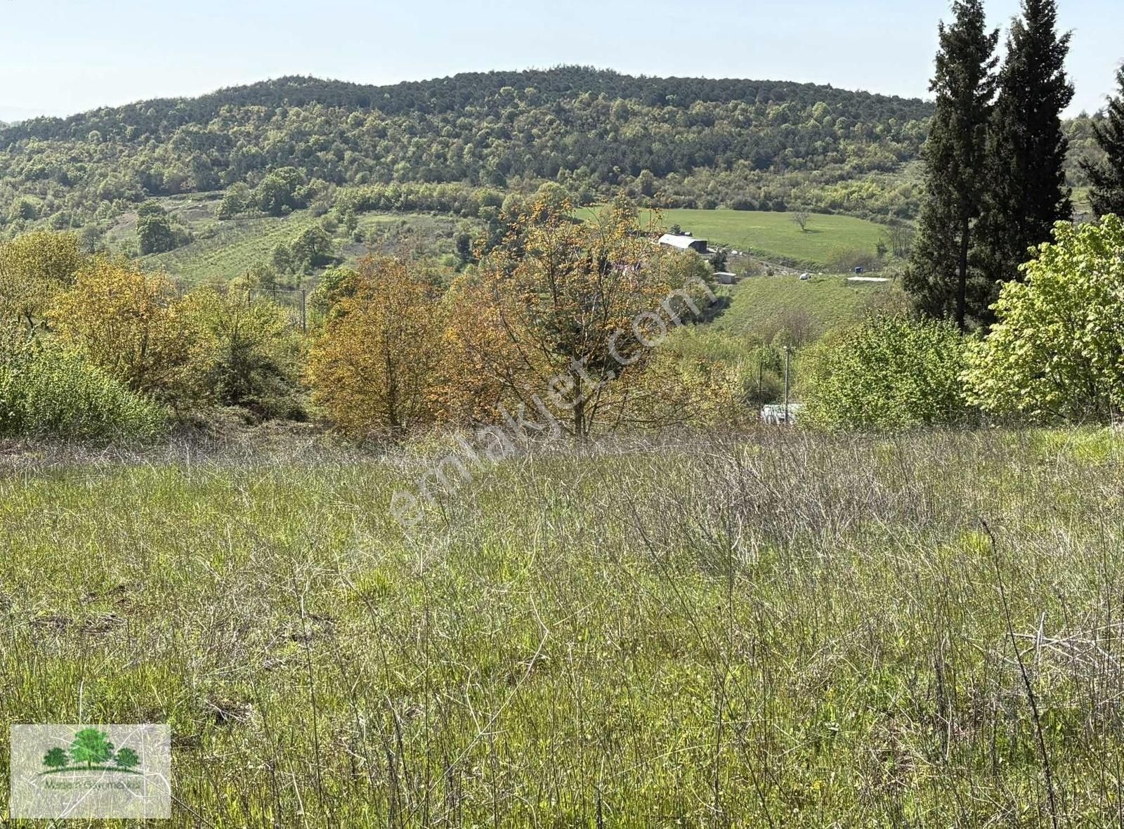 Marsam Emlak'tan Geyikdere Köyünde Yola Cepheli Tarla