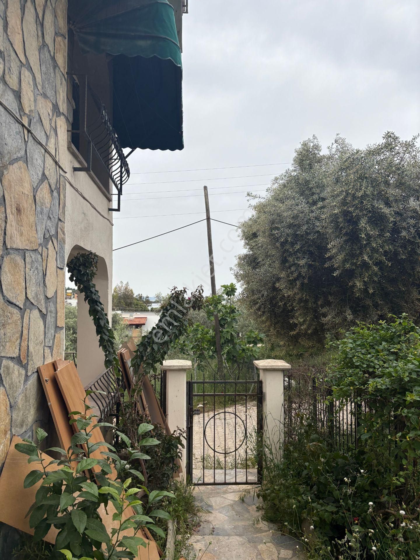 Milas Kıyıkışlacık Zeytinlikuyuda Denize Yakın Kiralık