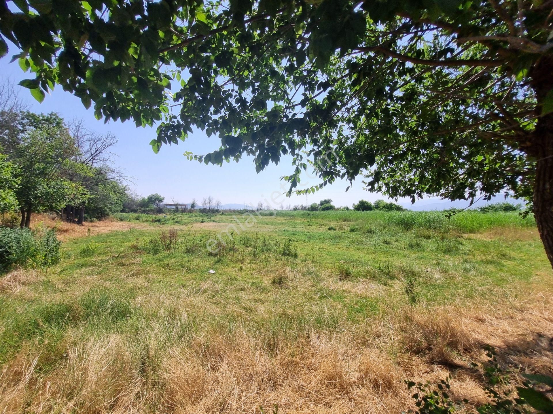 Aydın Nazilli Yöntem Emlaktan Yenipazar Donduran Mahallesinde Yerleşim Yerine Yakın Satılık Tarla