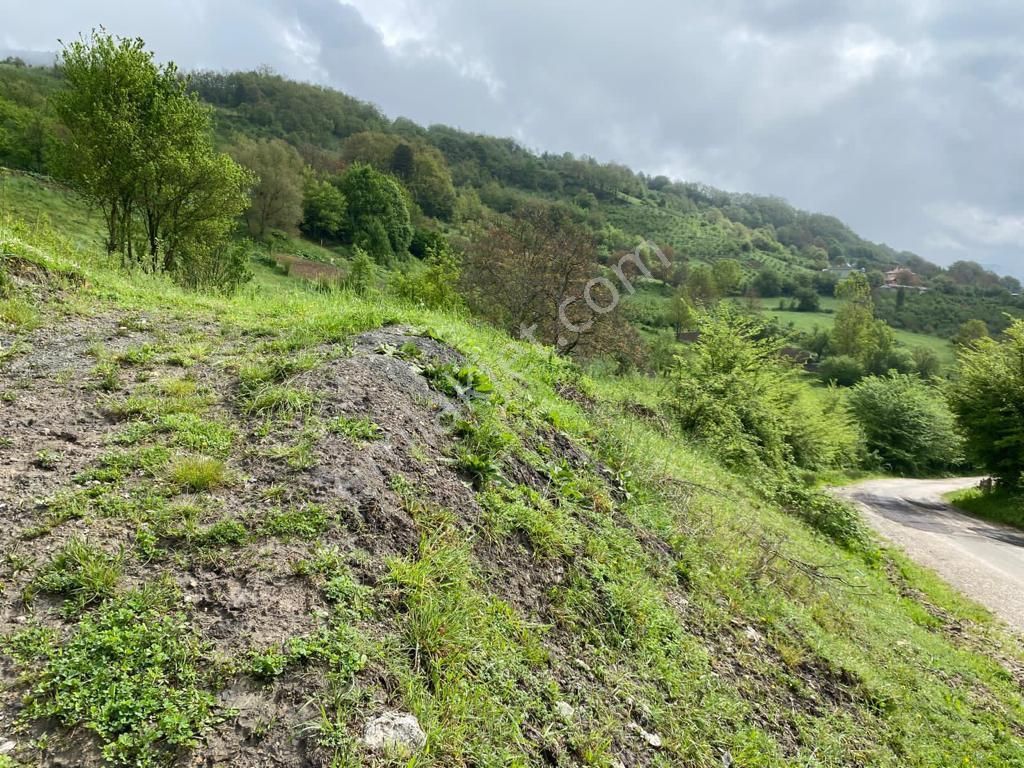 Wisrem Bolu'dan Mudurnu'da Yatırımlık Satılık Arsa
