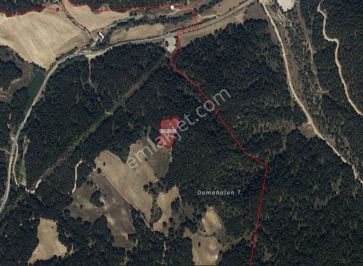 Kaçmaz Fırsat! Afyon Sinanpaşa Yörükmezarı'nda 3.910 M² Tarla – Ucuz, Verimli, Yatırımlık!