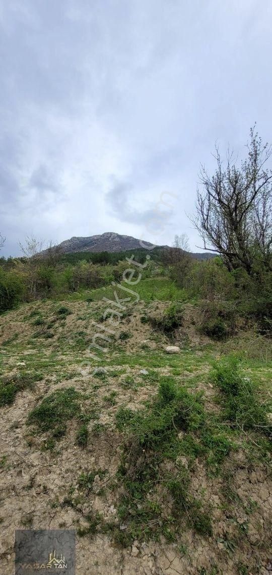 Karabük Merkez Bulak Köyünde Satılık Bağ Yeri