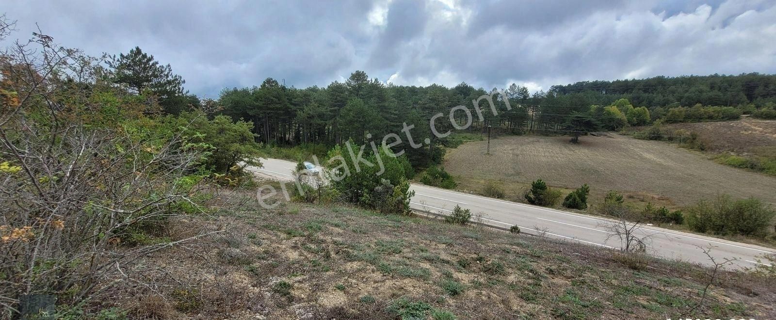 Safranbolu Eflani Ana Yol Kenarında Satılık 10 Dönüm Tarla