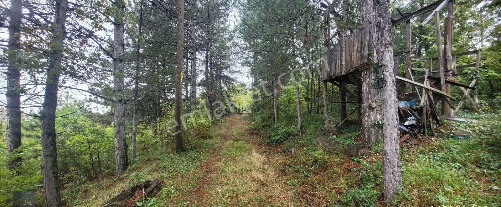 Safranbolu Gayzada Satılık Bağ Ve Bahçesi