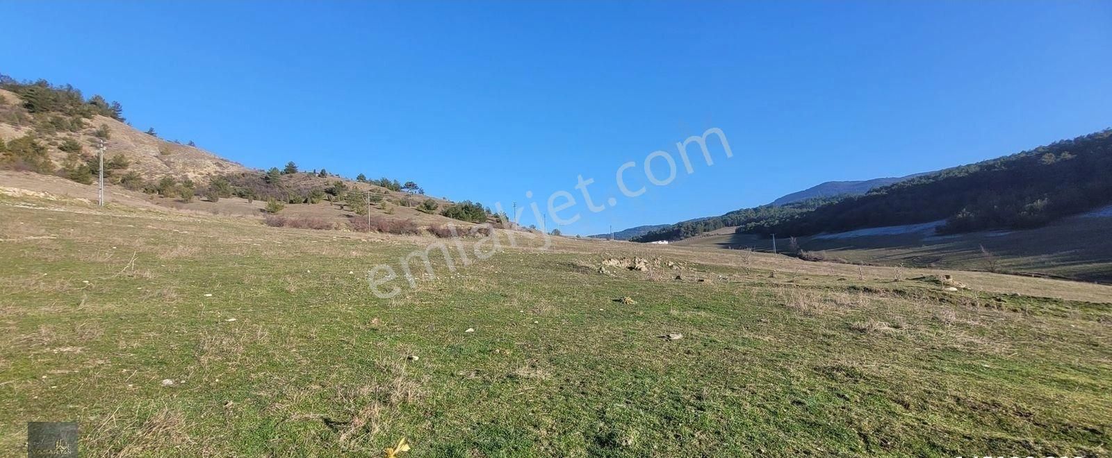 Karabük Merkez Kahyalar Köy Merkezinde Satılık Tarla